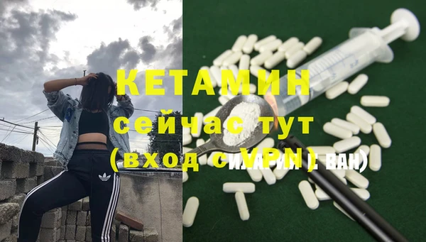 крисы Баксан