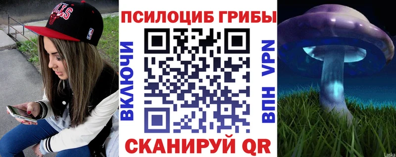 blacksprut ссылка  купить   Нестеров  Псилоцибиновые грибы Psilocybine cubensis 